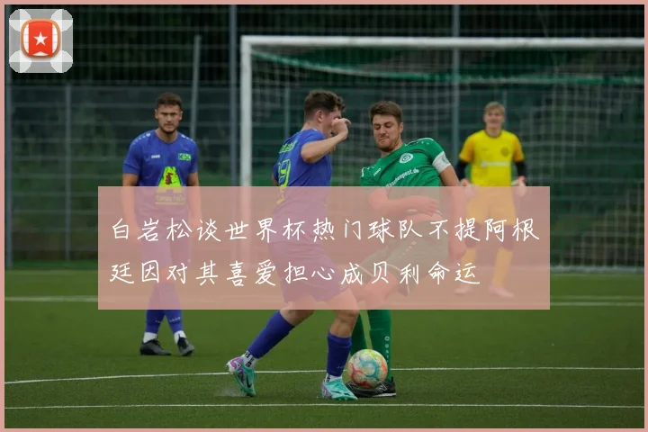 白岩松谈世界杯热门球队不提阿根廷因对其喜爱担心成贝利命运