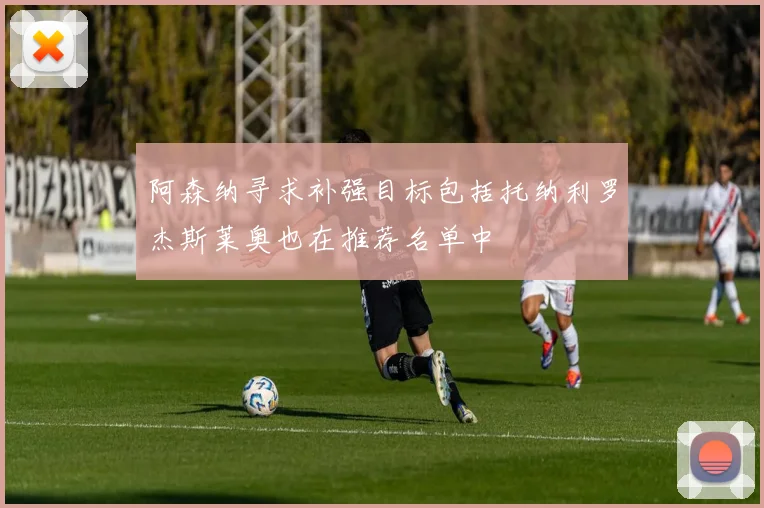 阿森纳寻求补强目标包括托纳利罗杰斯莱奥也在推荐名单中